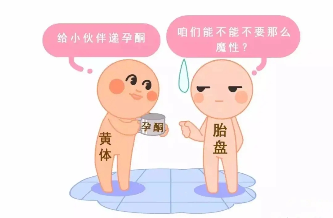 HCG和孕酮低一定會流產(chǎn)？備孕女性必須知道的孕早期“秘密”