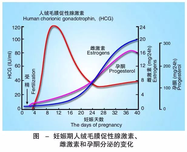 懷孕期間HCG低怎么辦？